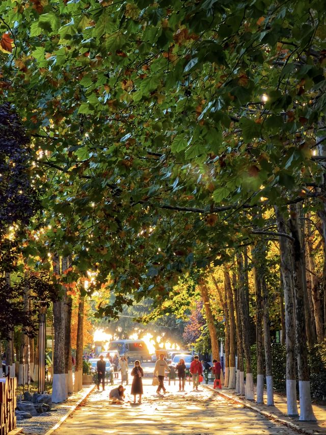 青島秋冬:闖進漫畫裡的治癒幀 青島秋冬:闖進漫畫裡的治癒幀