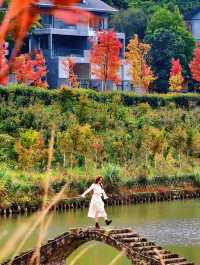 廣州出發!2.5小時車程找到廣東秋日拍照聖地