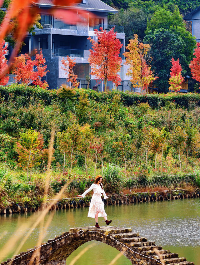 廣州出發!2.5小時車程找到廣東秋日拍照聖地 廣州出發!2.5小時車程找到廣東秋日拍照聖地