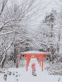 5天日本帶娃遊省心攻略來啦