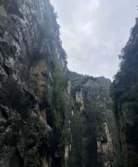 唯一破產的5A景區……