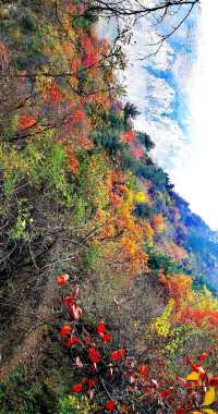 邯鄲武安的隱世瑰寶天乳山:帶你穿越千年文化的山水畫卷!