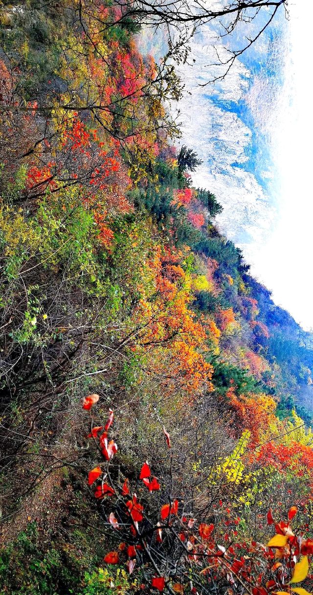 邯鄲武安的隱世瑰寶天乳山:帶你穿越千年文化的山水畫卷! 邯鄲武安的隱世瑰寶天乳山:帶你穿越千年文化的山水畫卷!