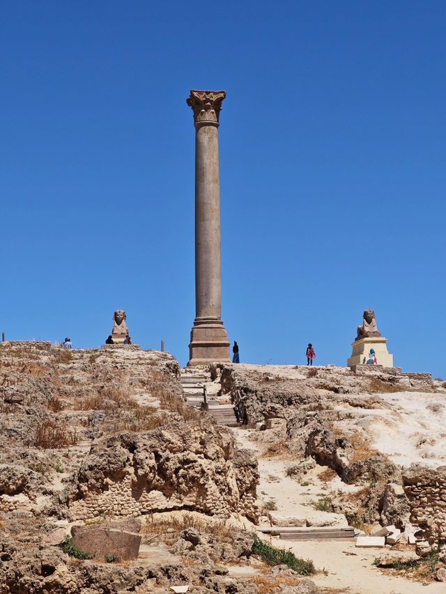 埃及1日包車遊保姆級攻略來啦