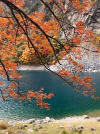 秋日松坪溝賞楓全攻略