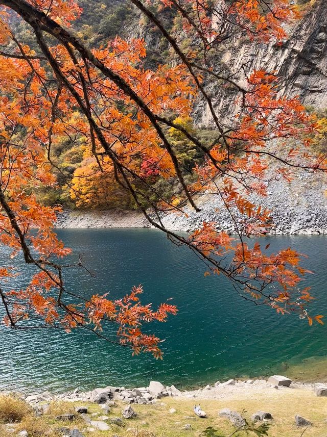 秋日松坪溝賞楓全攻略
