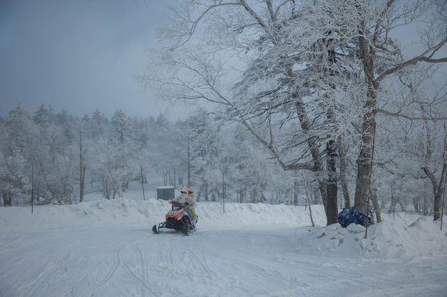 5天冬遊 呼倫貝爾美景全打卡