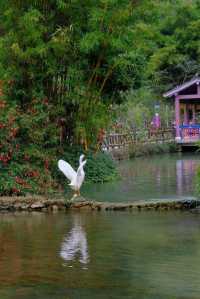 桂林山水秘境探幽