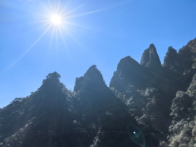 聽我的，不費腿看美景