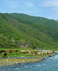 在庫爾德寧,我找到了雪山草原的終極形態!