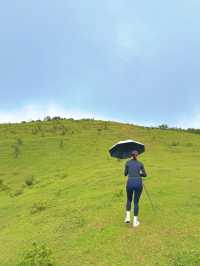 不必遠赴新疆！廣東八排山藏著“小阿勒泰”