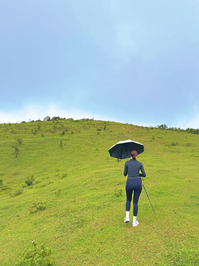 不必遠赴新疆！廣東八排山藏著“小阿勒泰”