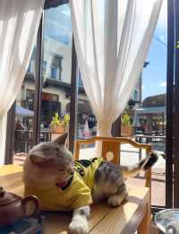 建水·古城客棧！發現一家寶藏民宿