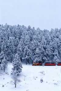 是童話裡的雪景啊,這裡美哭了!