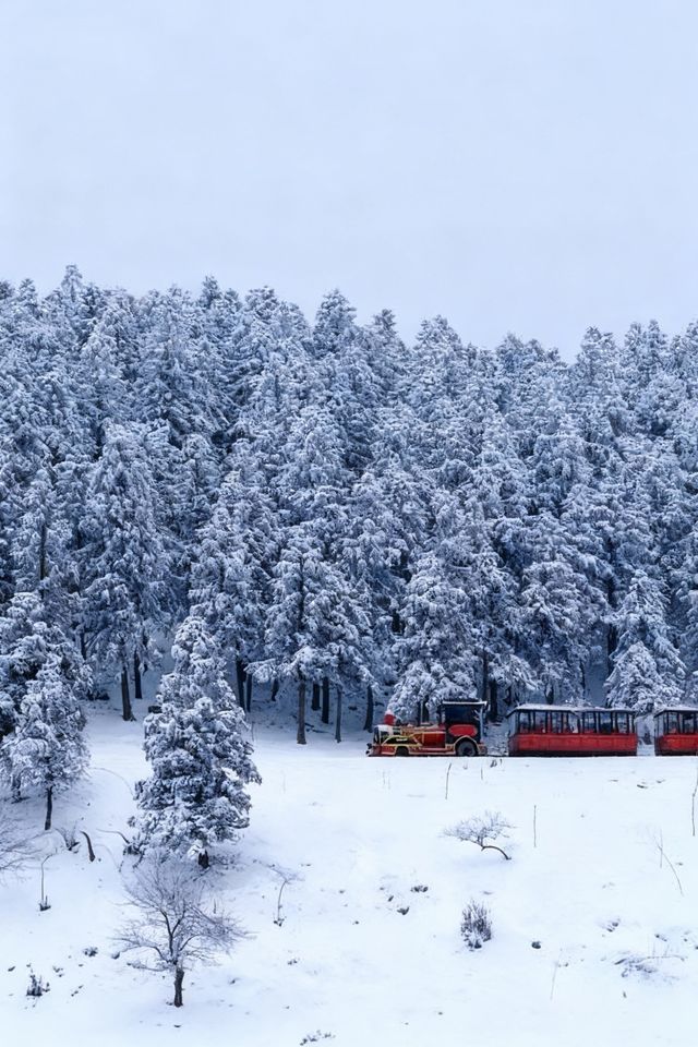 是童話裡的雪景啊,這裡美哭了! 是童話裡的雪景啊,這裡美哭了!