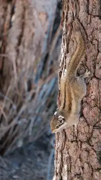 11.18的普達措很藍