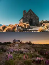 基督城→皇后鎮1日遊 | 不用自駕刷8大精華