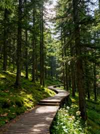 白銀3日遊 | 黃河石林與會寧會師舊址經典組合・全人群適配