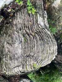 逃離城市計劃：我在保定白石山，找到了宮崎駿漫畫裡的夏天