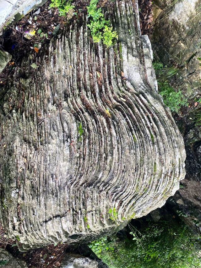 逃離城市計劃：我在保定白石山，找到了宮崎駿漫畫裡的夏天