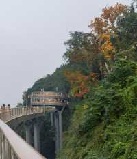 重慶鵝嶺二廠遊玩攻略