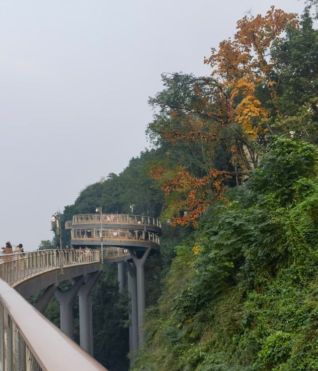 重慶鵝嶺二廠遊玩攻略