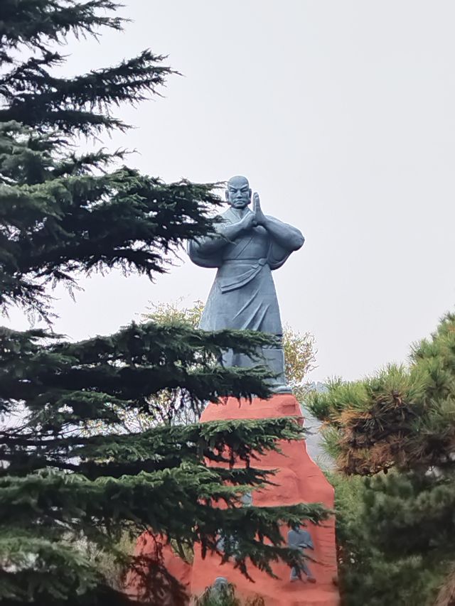 少林寺不僅有武學,還有銀杏! 少林寺不僅有武學,還有銀杏!