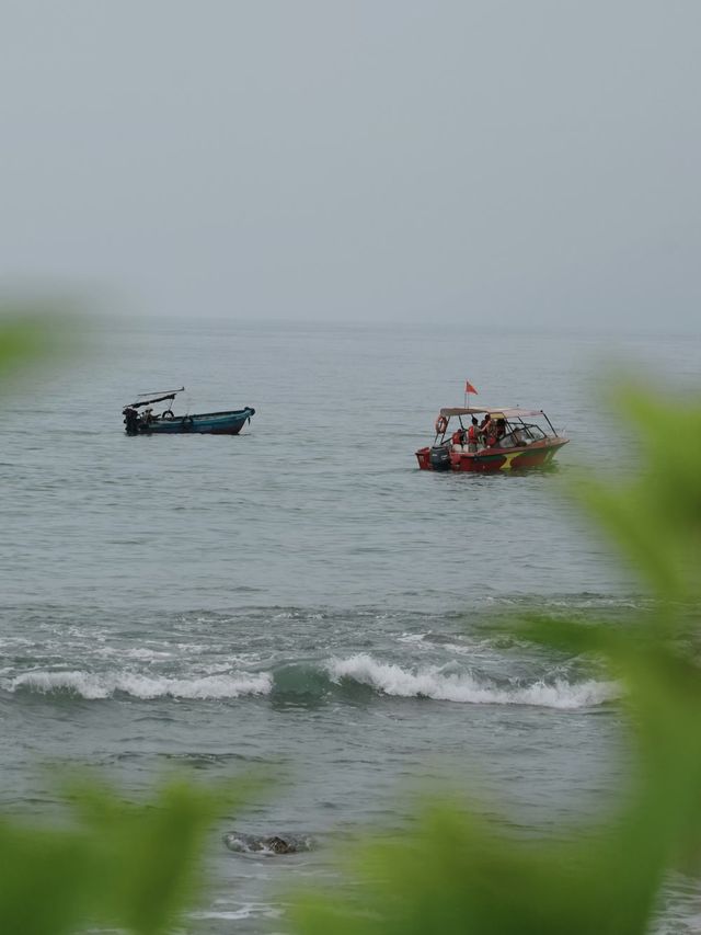 西島慢旅:讓時光隨浪輕淌
在西島,時間是奔湧的浪,人是灘上的沙。潮漲時捲走一身焦慮,潮退時留下滿 西島慢旅:讓時光隨浪輕淌
在西島,時間是奔湧的浪,人是灘上的沙。潮漲時捲走一身焦慮,潮退時留下滿