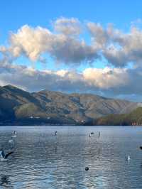 瀘沽湖晨霧圖如此美景我願來一萬次