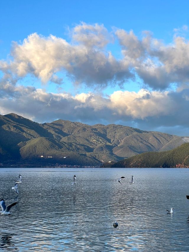 瀘沽湖晨霧圖如此美景我願來一萬次