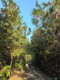 蘇州秋色這樣拍太絕了