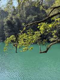 冬日貴陽包車遊錯過等一年