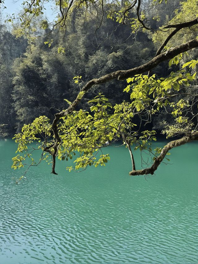 冬日貴陽包車遊錯過等一年