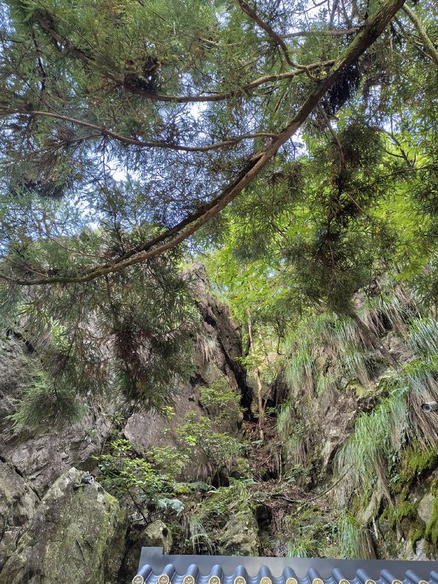 竹林寺∽廬山“空中佛國”！