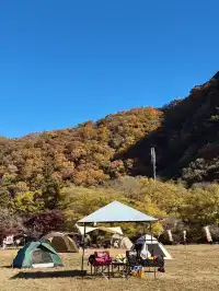 名古屋周邊|隱藏系絕美露營地