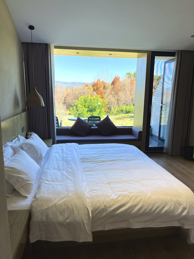 在大理住這裡就沒錯。。。