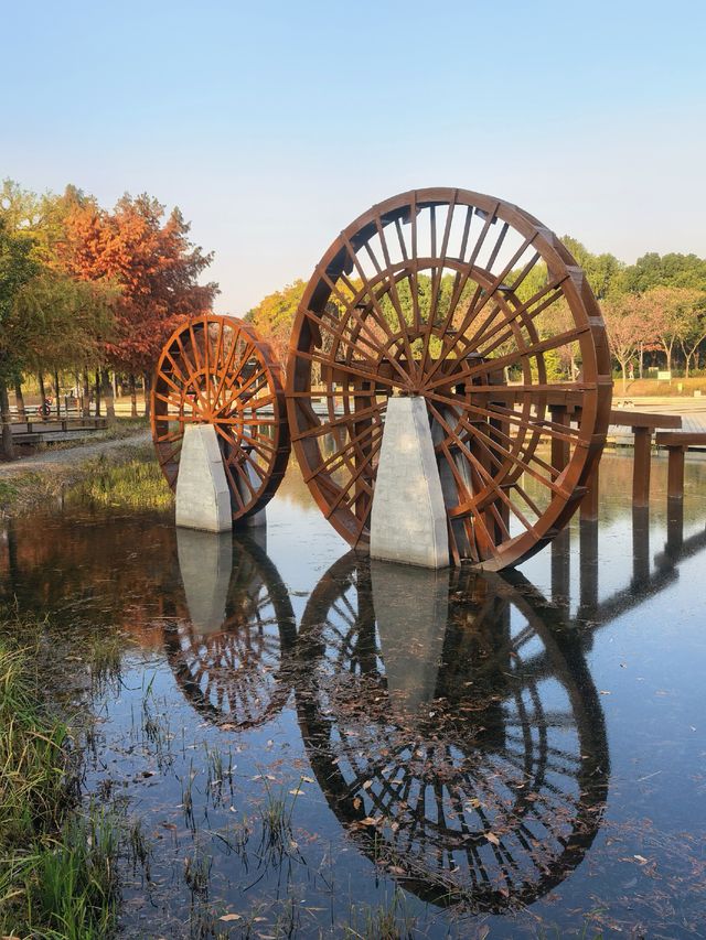 上海，沔青公園