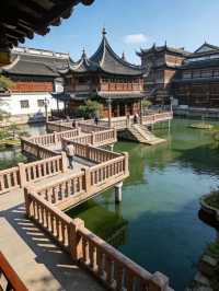 上海新玩法!自然 + 人文打卡合集