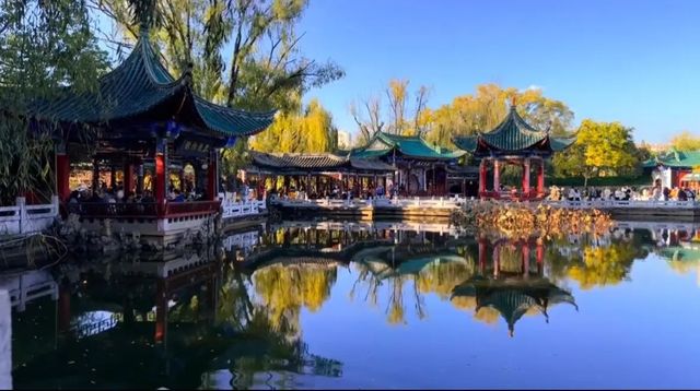 翠湖公園怎麼玩?本地人私藏路線,避開人潮賞冬櫻 翠湖公園怎麼玩?本地人私藏路線,避開人潮賞冬櫻