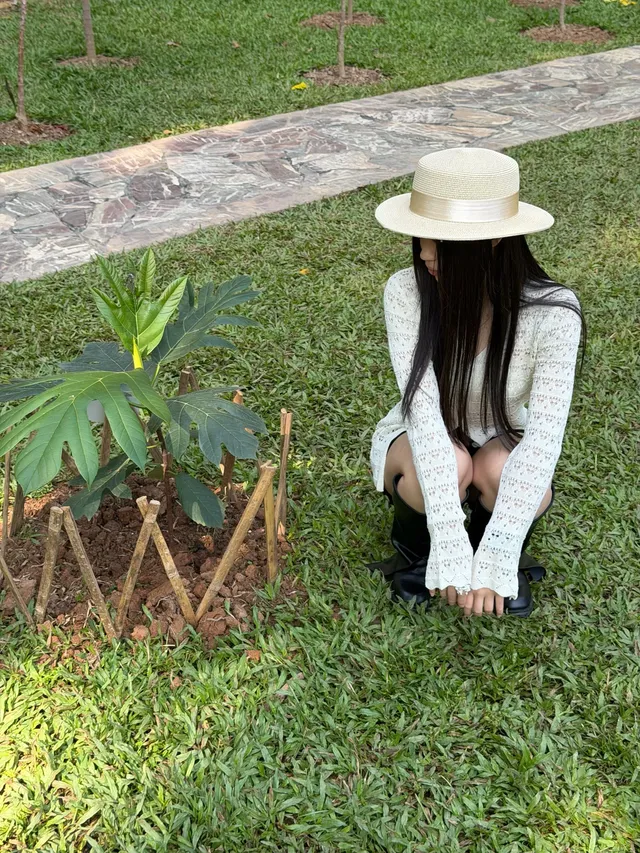 西雙版納的中科院植物園yyds！