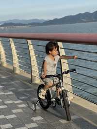 避開人擠人深圳灣親子騎行攻略,新手友好