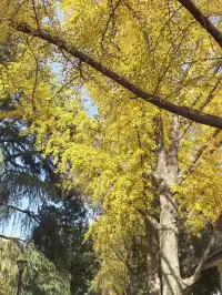 #南京5天#休閒之旅 上篇