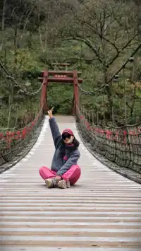 【成都天台山手記|與螢火一起登頂的初夏】