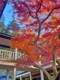 莫干山蔣公古道 請大膽浪費時間給秋天