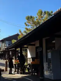 常滑市｜日本最大的「招財貓」產地