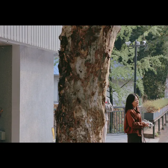 揚州自駕莫干山一日半｜避坑+驚喜全攻略