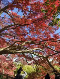 週末玩轉湖州莫干山 and 下渚湖濕地公園