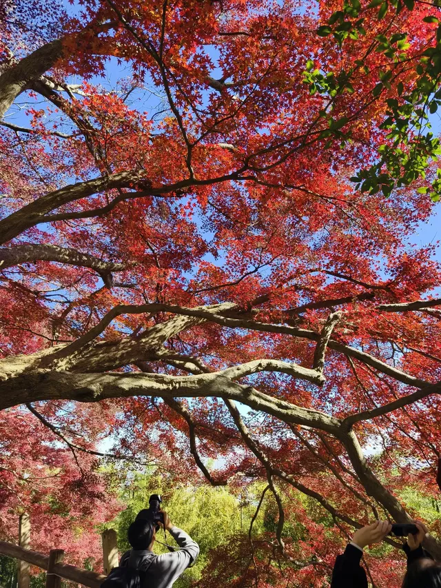 週末玩轉湖州莫干山 and 下渚湖濕地公園