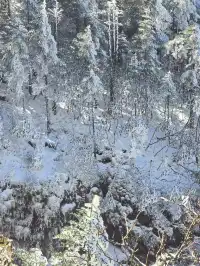 12月中莽山現狀,冷到哭,崩潰到想逃...