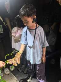 二次遊版納！一點都不累！小朋友說比迪士尼更好玩。